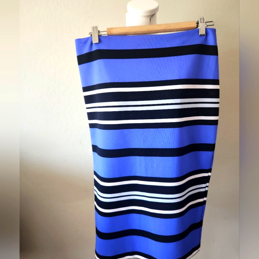 Express Pencil Skirt Size 6